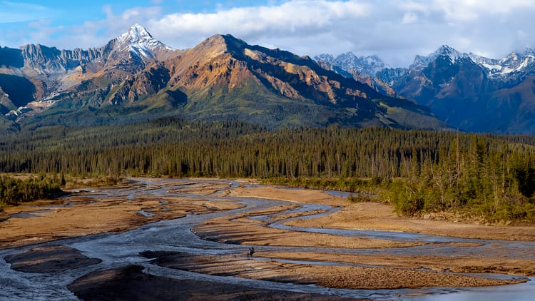 denali national park